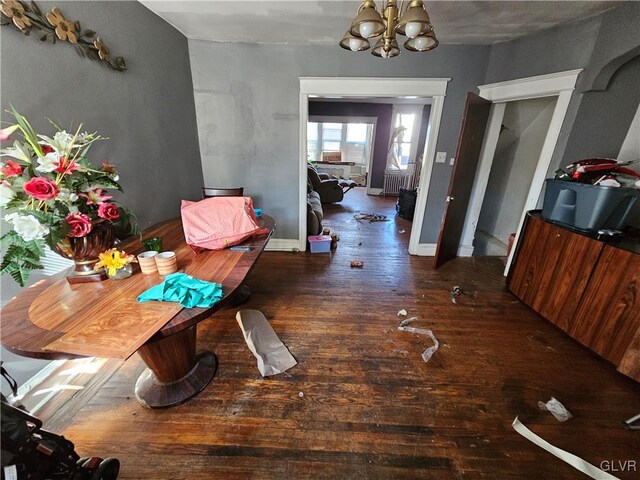 dining room featuring a notable chandelier, dark hardwood / wood-style floors, and radiator heating unit