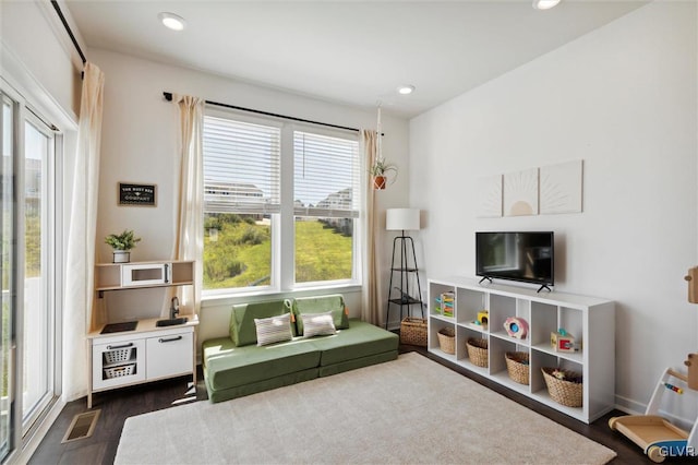 interior space featuring dark wood-type flooring and a healthy amount of sunlight