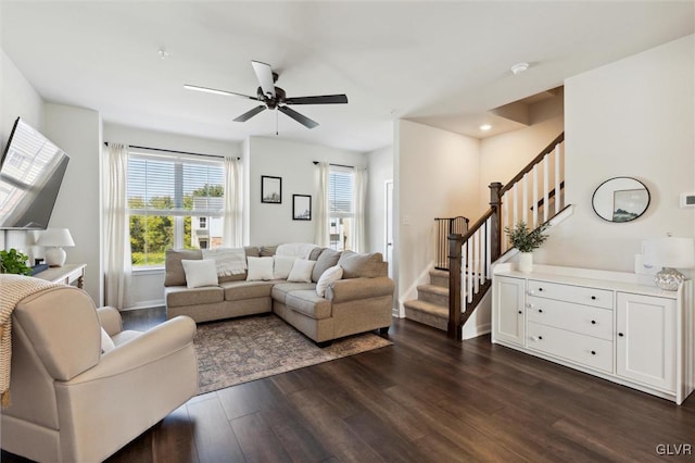 living room with ceiling fan and dark hardwood / wood-style flooring