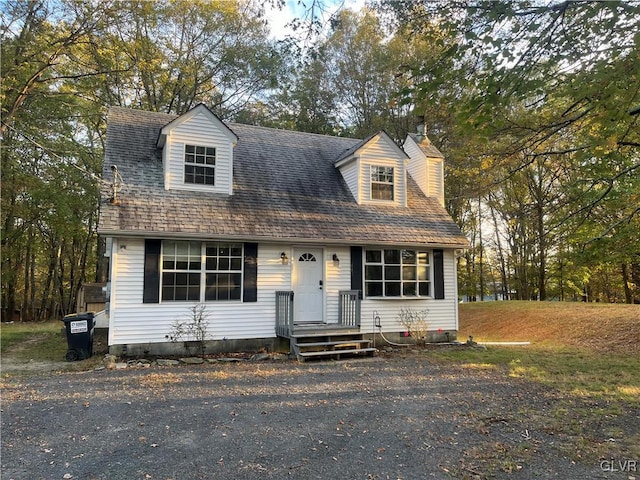 view of cape cod home