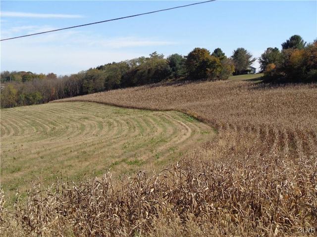 view of local wilderness featuring a rural view