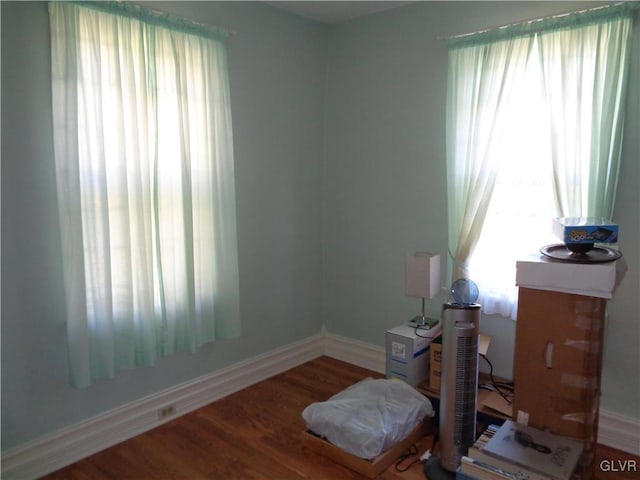 miscellaneous room with wood-type flooring and a wealth of natural light