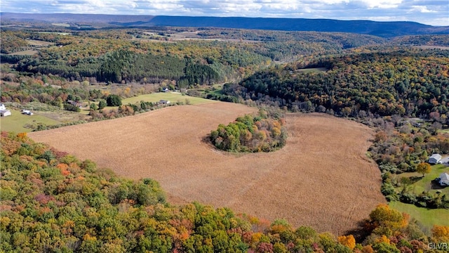 aerial view with a mountain view