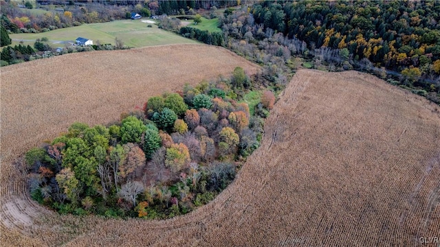 birds eye view of property featuring a rural view