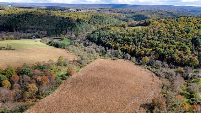 bird's eye view with a mountain view