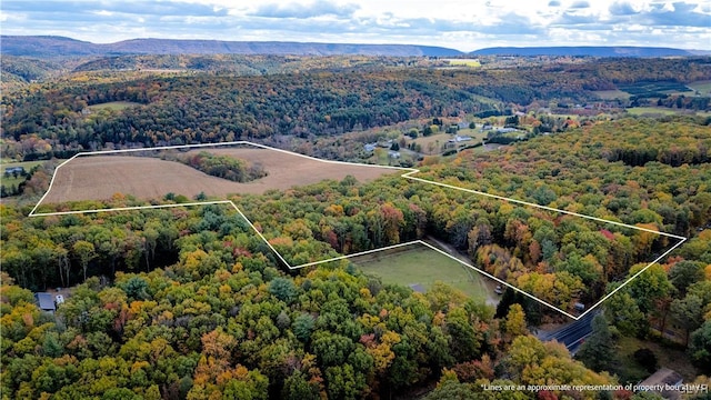 drone / aerial view featuring a mountain view