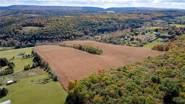 bird's eye view with a mountain view