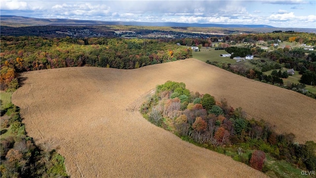 bird's eye view featuring a mountain view