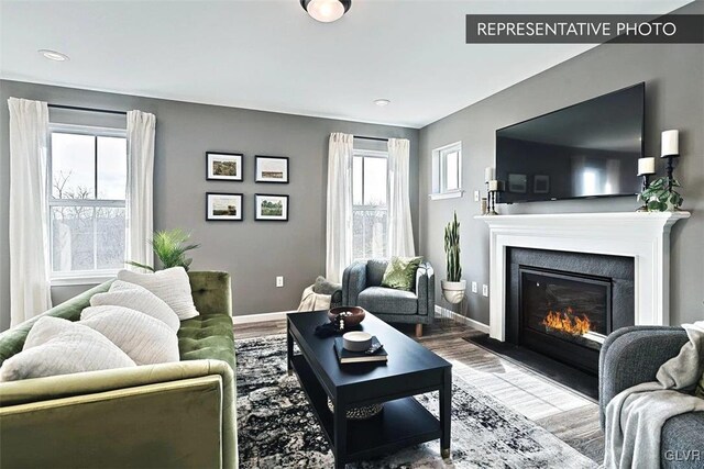 living room with hardwood / wood-style floors and a healthy amount of sunlight