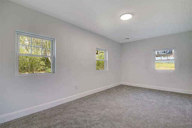 unfurnished room with a healthy amount of sunlight and carpet floors