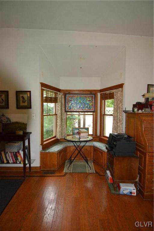 interior space featuring lofted ceiling and wood-type flooring