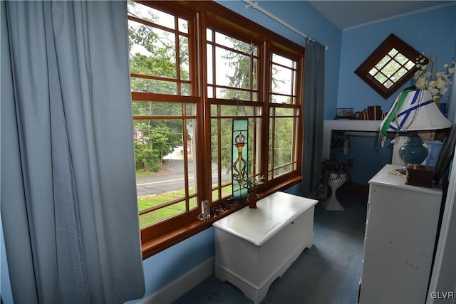 entryway with plenty of natural light