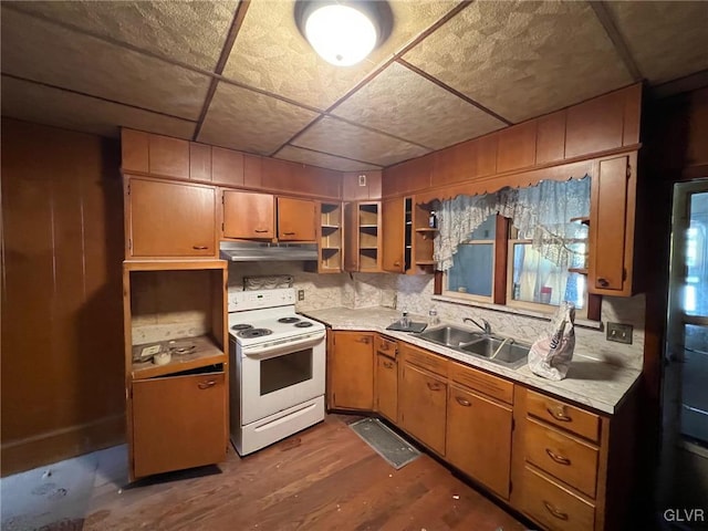 kitchen featuring dark wood-type flooring, decorative backsplash, electric range, and sink