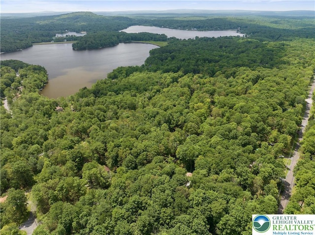 137 Outer Dr, Coolbaugh Twp, PA 18347 - bird's eye view of a heavily wooded area and a large body of water