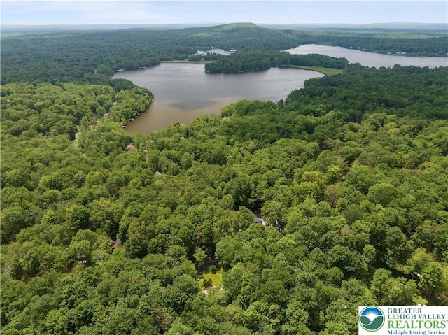 137 Outer Dr, Coolbaugh Twp, PA 18347 - bird's eye view of a heavily wooded area and a nearby body of water