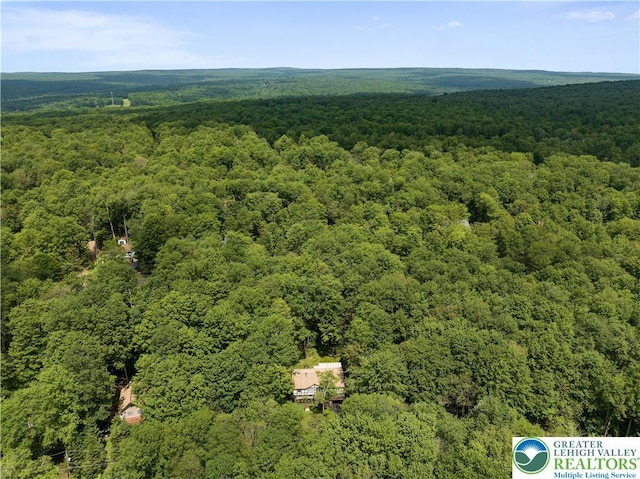 137 Outer Dr, Coolbaugh Twp, PA 18347 - aerial view of a heavily wooded area