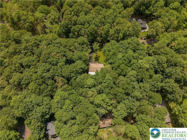 137 Outer Dr, Coolbaugh Twp, PA 18347 - aerial overview of property's location featuring a forest