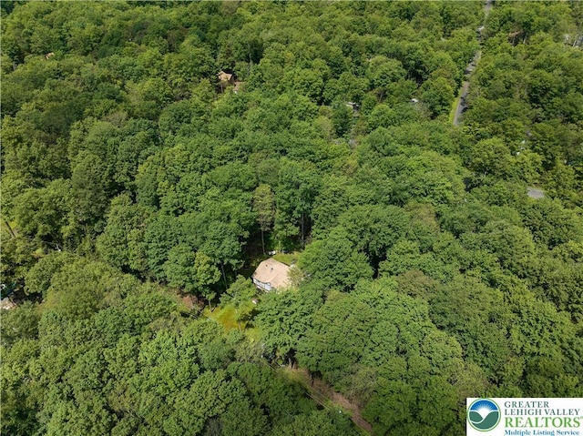 137 Outer Dr, Coolbaugh Twp, PA 18347 - aerial view of a heavily wooded area