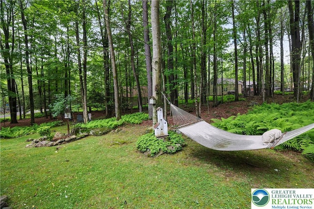 137 Outer Dr, Coolbaugh Twp, PA 18347 - view of yard
