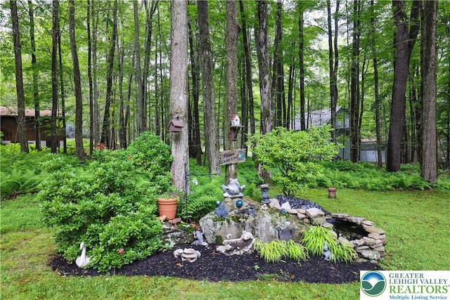 137 Outer Dr, Coolbaugh Twp, PA 18347 - view of yard