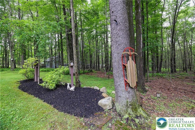 137 Outer Dr, Coolbaugh Twp, PA 18347 - view of green lawn featuring a wooded view