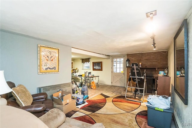 living room with light hardwood / wood-style floors