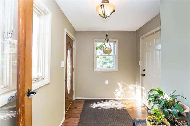 doorway to outside with dark wood-type flooring