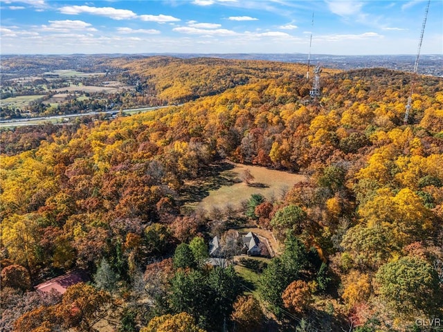 bird's eye view