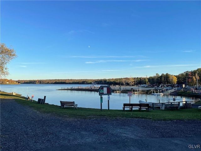 dock area with a water view