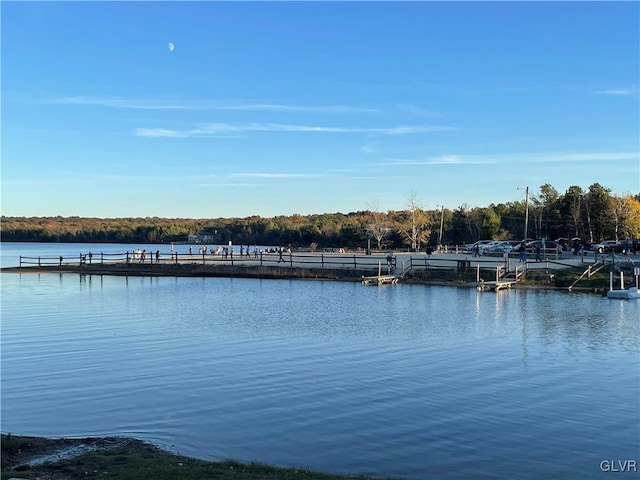 property view of water featuring a boat dock