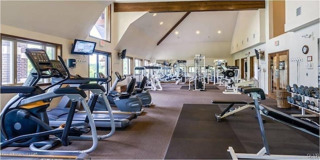 gym with high vaulted ceiling and a wealth of natural light