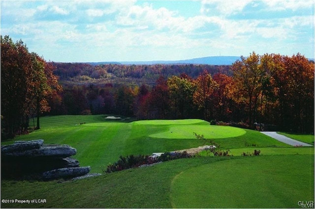 view of community featuring a lawn