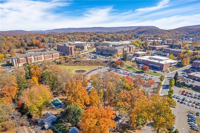 drone / aerial view with a mountain view