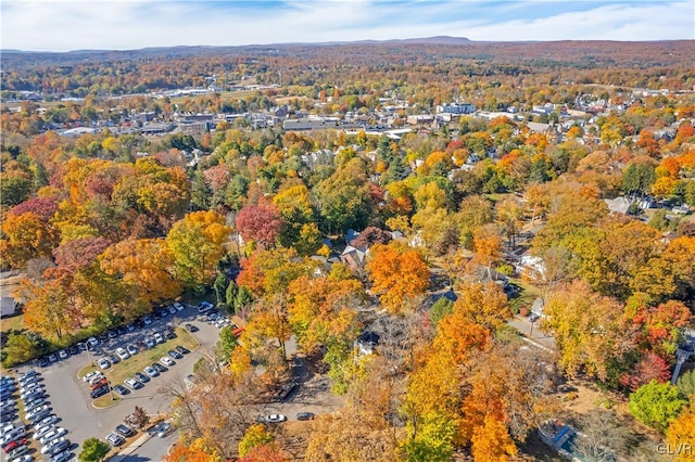 drone / aerial view