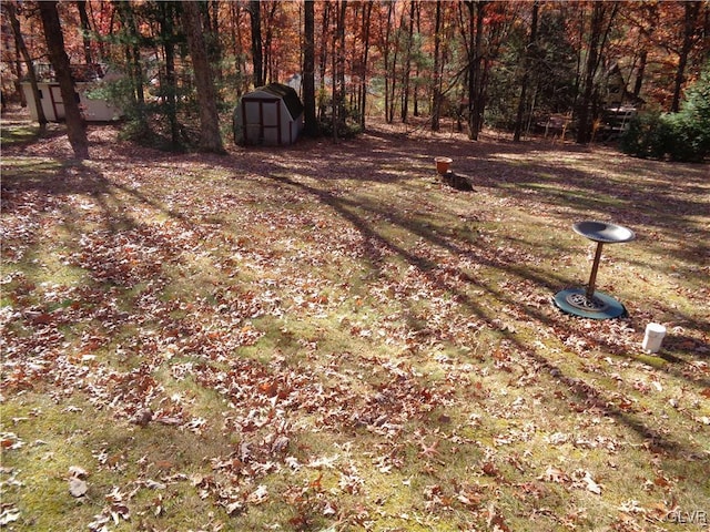 view of yard featuring a storage shed