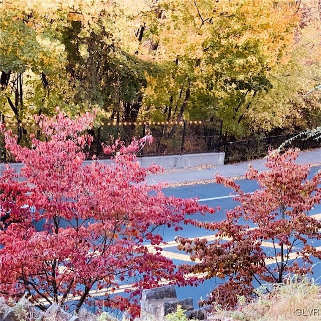 view of landscape