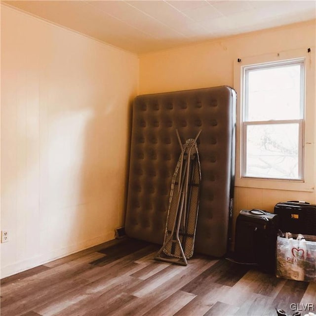 interior space featuring wood-type flooring