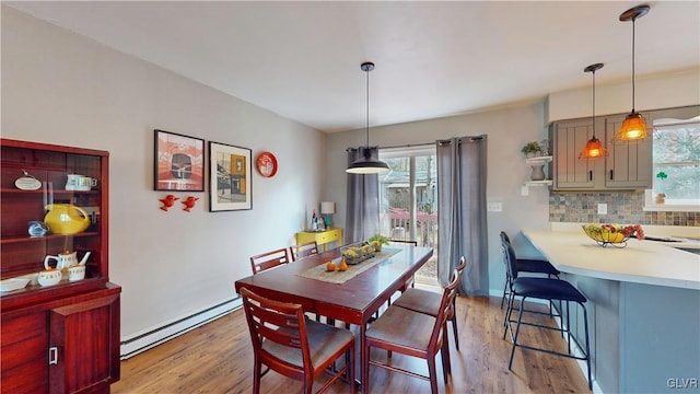 dining room featuring light hardwood / wood-style flooring, a healthy amount of sunlight, and a baseboard radiator