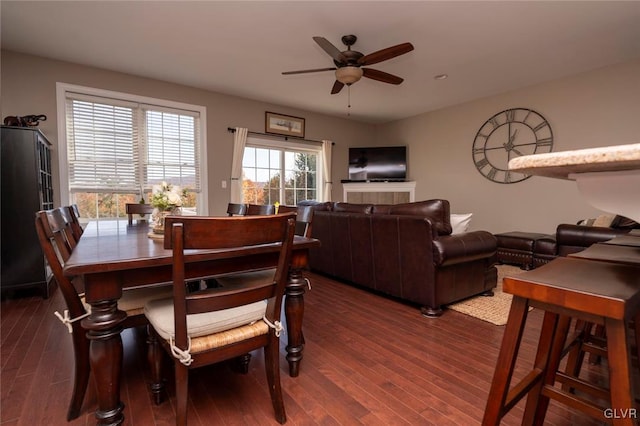 dining area featuring ceiling fan and dark hardwood / wood-style floors