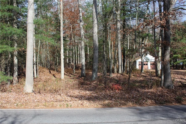 Buck Mountain Rd, Lehigh Township, PA 18255 - view of road