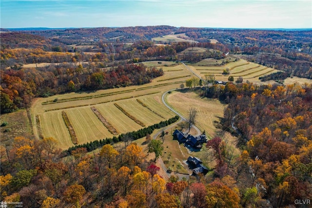 drone / aerial view featuring a rural view