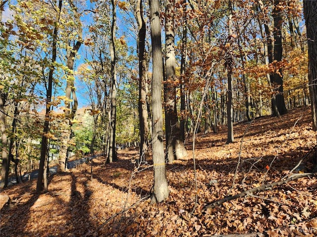 view of local wilderness