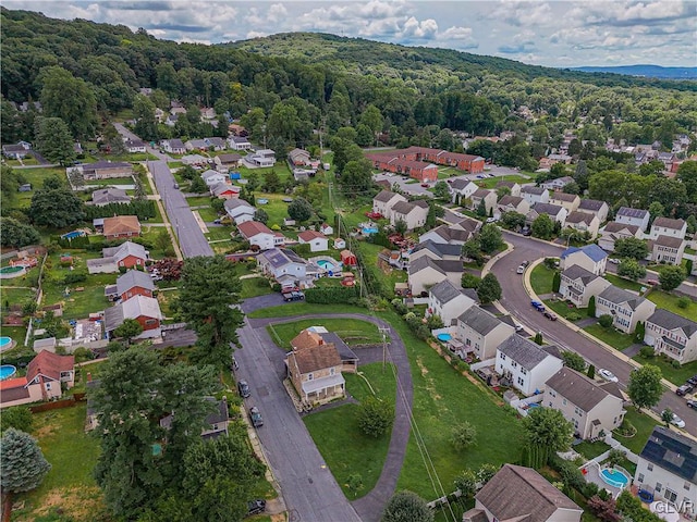 bird's eye view