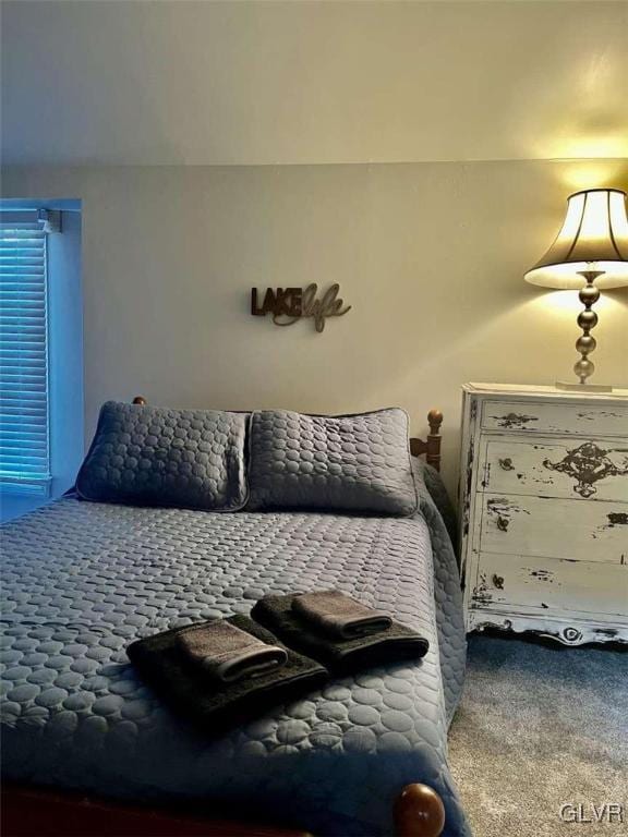 bedroom featuring carpet floors