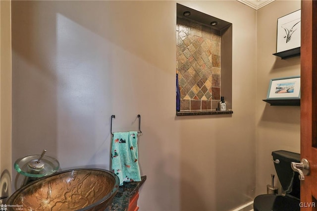 bathroom with vanity and crown molding