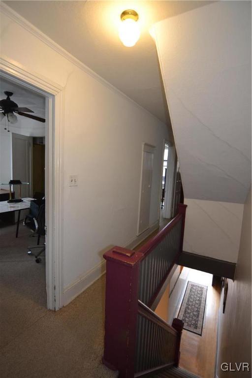 162 S Union St, Easton, PA 18042 - stairs with crown molding, carpet floors, and ceiling fan