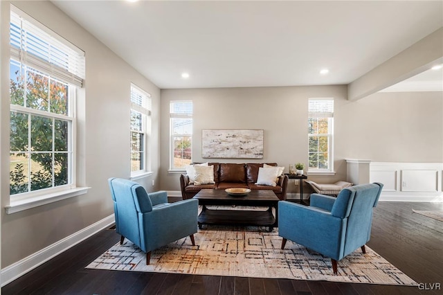 living area featuring a wealth of natural light and dark hardwood / wood-style floors