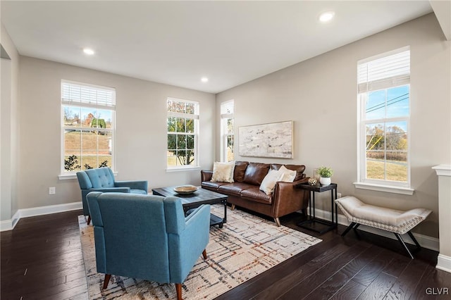 living room featuring dark hardwood / wood-style floors