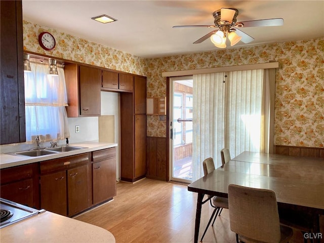 kitchen with light wood-type flooring, sink, ceiling fan, and white cooktop