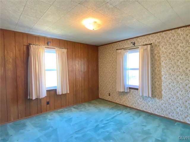 spare room with wooden walls and carpet flooring